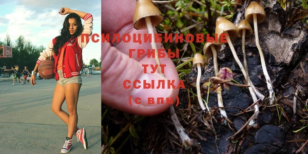 бутират Верея