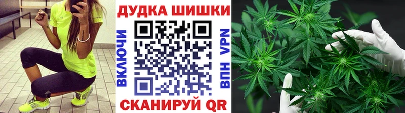 купить  сайты  Нытва  Конопля сатива 